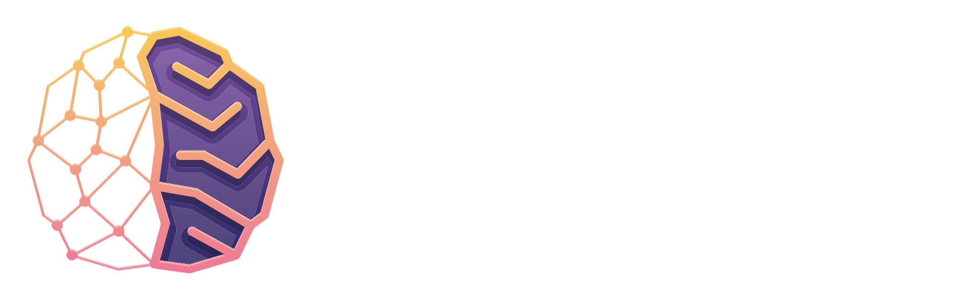 Smart Network الشبكة الذكية